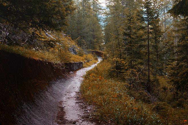 Sofia Podestà  - Pista di bob, 40x60 cm.