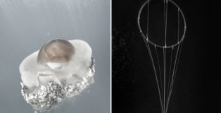 Mare Omnis di Francesco Zizola + Epifanie/03, LAB/per un laboratorio irregolare a cura di Antonio Biasiucci - Due mostre fotografiche alla Galleria del Cembalo