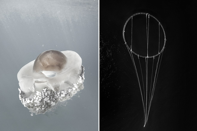 “Mare Omnis” + “Epifanie/03” – Due mostre fotografiche alla Galleria del Cembalo
