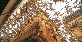 Once Upon a Time… Windows - Installazione, Città Vecchia di Damasco. Photo credit: AFP