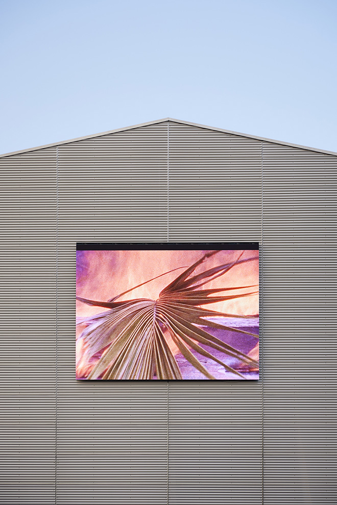 Steve McQueen - Caribs’ Leap, 2002 Veduta dell’installazione, Pirelli HangarBicocca, Milano, 2022 Commissionato da documenta e Artangel, con il supporto di Heinz & Simone Ackermans. © Steve McQueen. Courtesy l’artista, Thomas Dane Gallery, Marian Goodman Gallery e Pirelli HangarBicocca, Milano. Foto Agostino Osio.