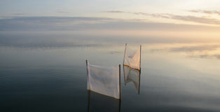 Roberto Ghezzi - Installazione Naturografie, Lago Trasimeno, 2018