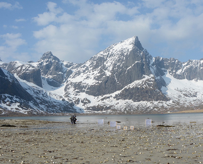 Installazione per NATUROGRAFIE, Isole Lofoten, Norway, 2019. Courtesy the artist