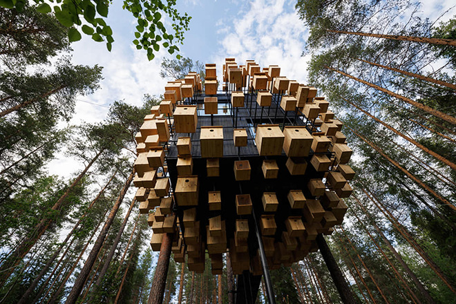 Biosphere Treehouse Hotel – Dormire tra alberi e uccelli