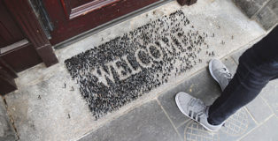 Pejac - WELCOME, Nuart Festival 2022, Aberdeen