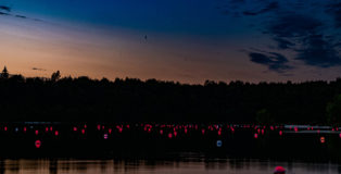 WERC Collective - LILY. Un dialogo tra natura e tecnologia. Photo credit: Knelis
