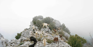 Simone Donati - Varco Appennino, Pazzano (RC), 2016 fotografia dimensioni variabili, stampa su pvc adesivo/photograph variable size, pcv print. Courtesy: the artist