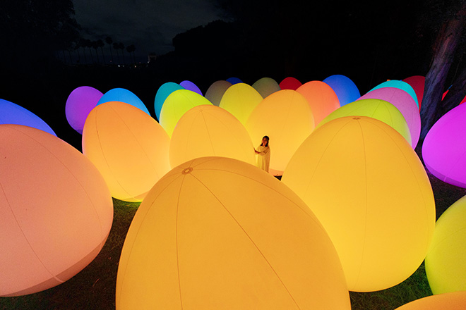 teamLab - Forest of Autonomous Resonating Life - Eucalyptus. Exhibition view of teamLab Botanical Garden Osaka, 2022, Nagai Botanical Garden, Osaka. © teamLab, Courtesy Pace Gallery