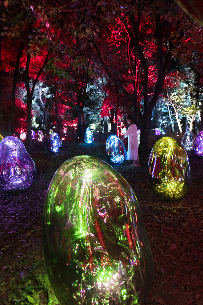 teamLab - Resonating Microcosms in the Common Camellia Garden - Solidified Light Color, Sunrise and Sunset. Exhibition view of teamLab Botanical Garden Osaka, 2022, Nagai Botanical Garden, Osaka. © teamLab, Courtesy Pace Gallery