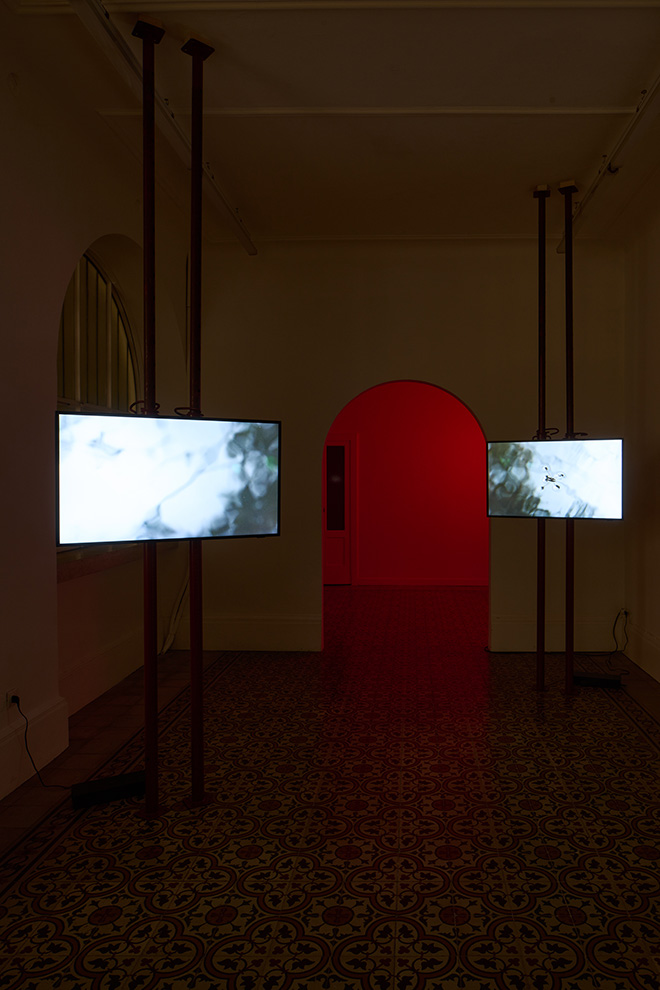 Marina Cavadini - Eat Me, installation view, The Address gallery. Ph © Alberto Petrò