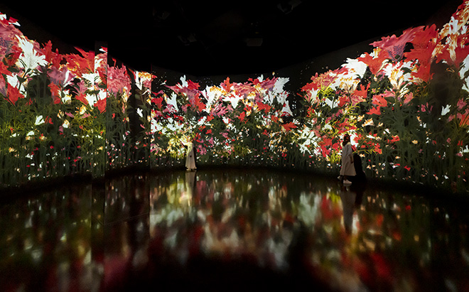 teamLab, Proliferating Immense Life, 2020, Interactive Digital Installation, Sound: Hideaki Takahashi ©teamLab