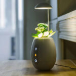 Vivo Pot – Tecnologia e design per coltivare piantine da appartamento