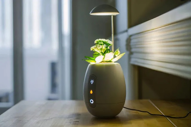Vivo Pot – Tecnologia e design per coltivare piantine da appartamento