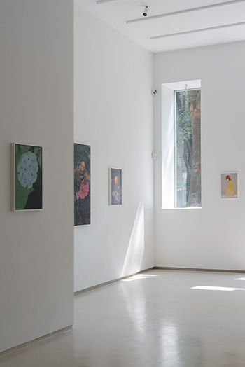 Arianna Lago - Surrender, installation view, Tempesta Gallery