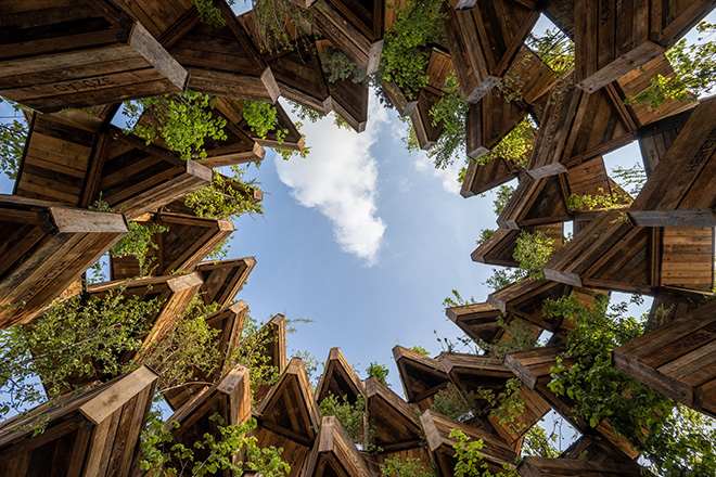 Hello Wood - The Garden of Communities, vertical garden, ECOC 2023. Photo credit: Gyorgy Palko