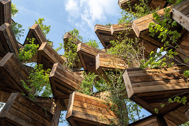 Hello Wood - The Garden of Communities, vertical garden, ECOC 2023. Photo credit: Gyorgy Palko