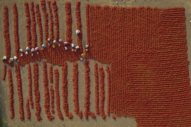 George Steinmetz - Foodscapes, Primo classificato, Serie, Drone Photo Awards 2023