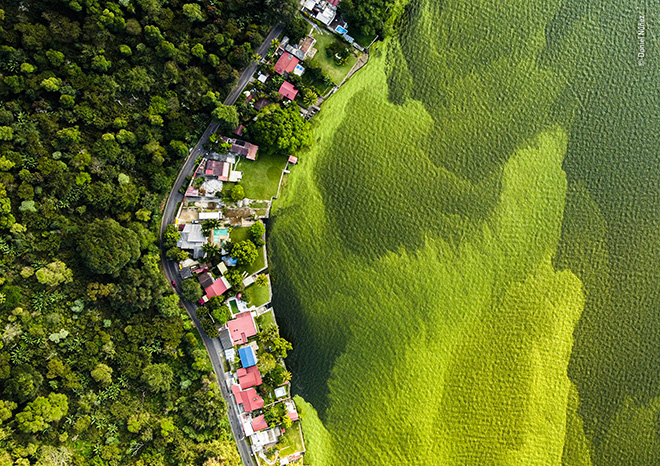 ©Daniel Núñez - Il lago morente, Vincitore Aree umide: la visione d’insieme, Wildlife. Photographer of the Year