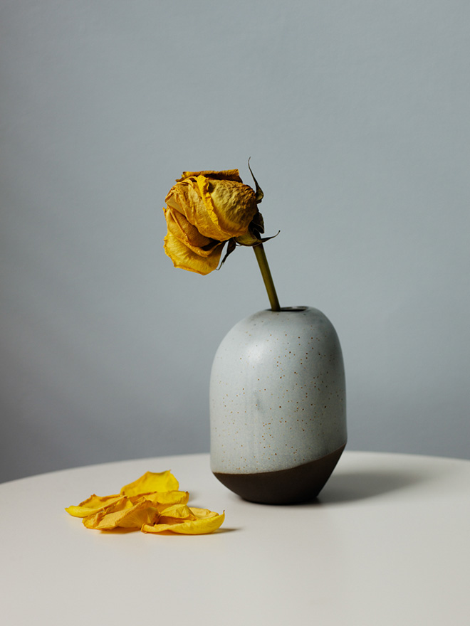 Jess T. Dugan - Yellow rose, 2020