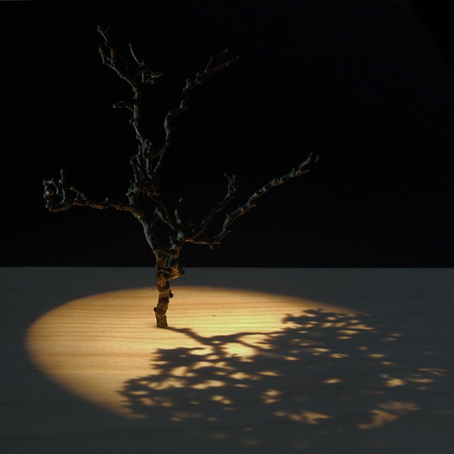 Alessandro Lupi, Albero (dalla serie Ombre 2014-2019), 2019, tecnica mista, legno e luce, 21x21x10 cm, courtesy Alessandro Lupi