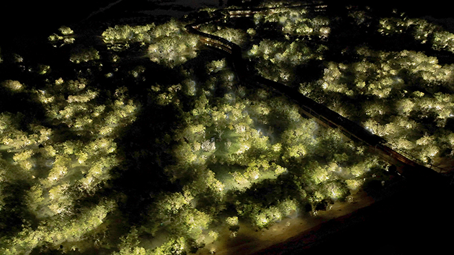 teamLab, Life is Continuous Light - Mangrove Forest, teamLab, 2023, Interactive Digitized Nature, Sound: Hideaki Takahashi © teamLab, courtesy Pace Gallery