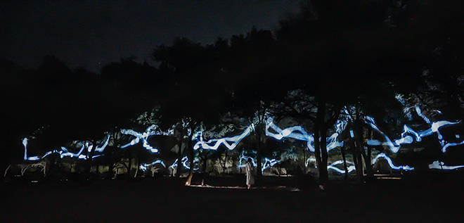 teamLab, Spatial Calligraphy in the Forest - One Stroke, teamLab, 2022, Digital Nature, Sound: Hideaki Takahashi © teamLab, courtesy Pace Gallery