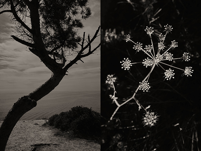 Jaume Lorens - Diptic 053, GAIA series