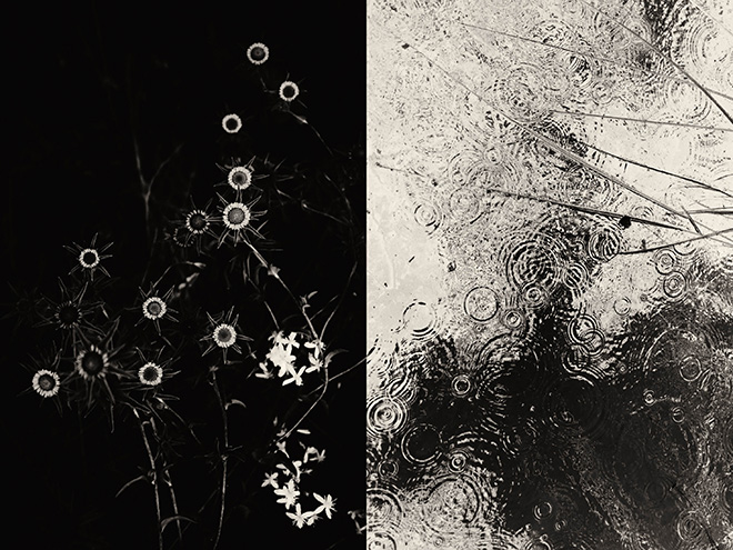 Jaume Lorens - Diptic 004, GAIA series