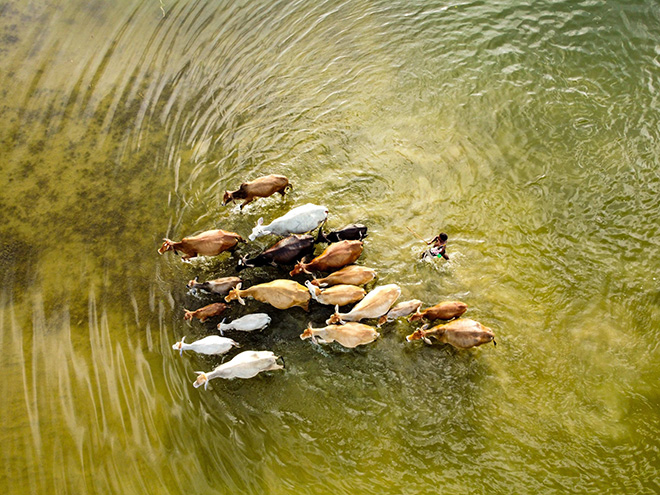 Flood Affected Area - Solayman Hossain (2023). Winner: Nikon's Young Environmental Photographer of the Year