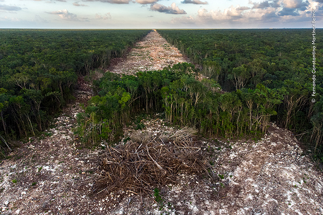 ©Fernando Constantino Martínez Belmar / Wildlife Photographer of the Year. The tourism bulldozer. Winner, Photojournalism