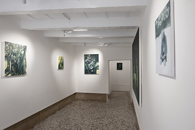 Francesca Miotto - Where the Gods Reign, installation view, MAGMA gallery, Venezia