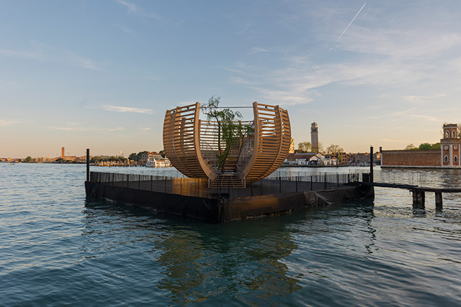 ARENA FOR A TREE (Arena per un albero) – A Venezia un intervento artistico di Klaus Littmann