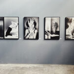 Sofia Uslenghi – “CASA/TERRA/IO”