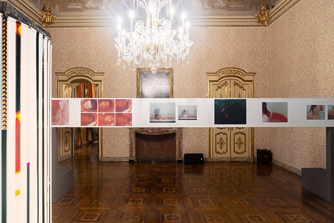 EXPOSED Torino Foto Festival - Palazzo Birago, Tender Loving Care, installation view