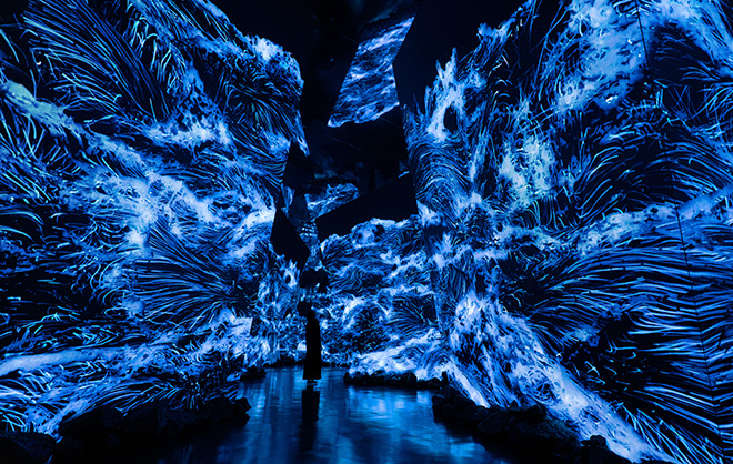 teamLab Borderless Jeddah – Jeddah Historic District