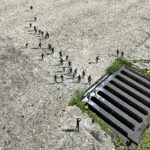 Pejac – “HOPE” + “LINE”. La residenza artistica a Londra con Avant Arte