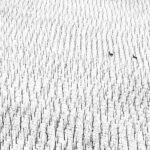 World Nature Photography Awards 2025 – I vincitori del contest fotografico che celebra la natura