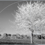 Paesaggi come stati dell’anima – Mostra fotografica di Istituto Italiano di Fotografia,  a cura di Erminio Annunzi