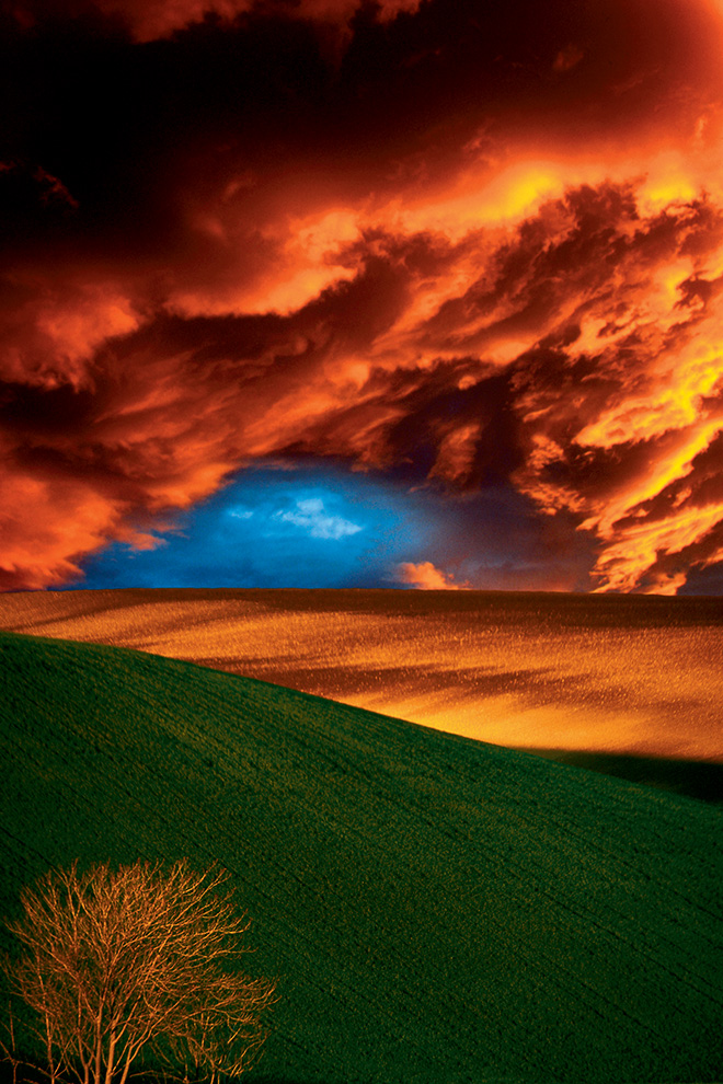 Franco Fontana, Imaginary landscape, Italy, 2000 GAM Galleria Civica d’Arte Moderna e Contemporanea di Torino. Courtesy Fondazione Torino Musei Franco Fontana, Imaginary landscape, Italy, 2000 GAM Galleria Civica d’Arte Moderna e Contemporanea di Torino. Courtesy Fondazione Torino Musei