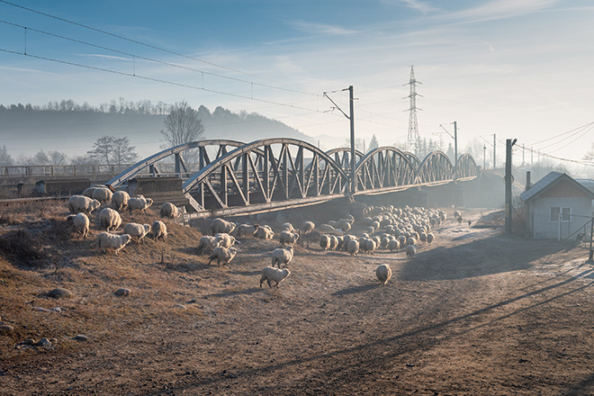 ©Jan Janssen - It Matters. Courtesy of All About Photo ©Jan Janssen - It Matters. Courtesy of All About Photo