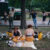 ©Joel Meyerowitz - Central Park, New York City, 1966