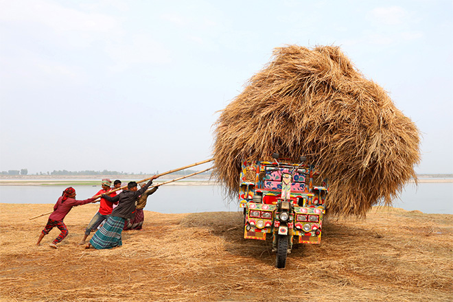 © Syed Mahabubul Kader, Bangladesh, Winner, National Awards, Sony World Photography Awards 2025. Image Name: Paddy Straw. Year: 2025. © Syed Mahabubul Kader, Bangladesh, Winner, National Awards, Sony World Photography Awards 2025. Image Name: Paddy Straw. Year: 2025.