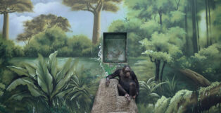 © Zed Nelson, United Kingdom, Photographer of the Year, Professional competition, Wildlife & Nature, Sony World Photography Awards 2025. Image Name: The Anthropocene Illusion. Shanghai Wild Animal Park, Shanghai, China