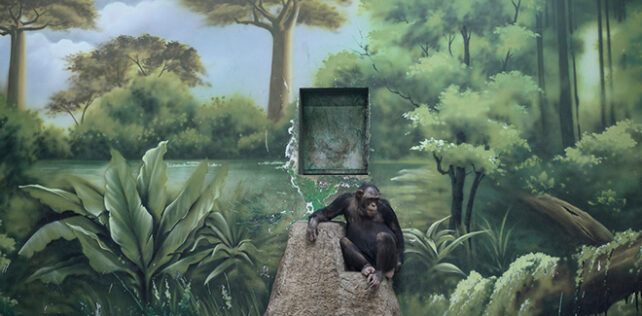 © Zed Nelson, United Kingdom, Photographer of the Year, Professional competition, Wildlife & Nature, Sony World Photography Awards 2025. Image Name: The Anthropocene Illusion. Shanghai Wild Animal Park, Shanghai, China Sony World Photography Awards 2025 – The Winners