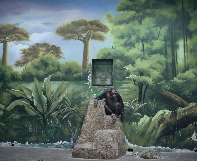 Sony World Photography Awards 2025 – The Winners