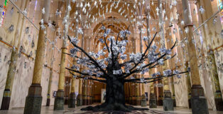 JR - Adventice, installation view, Carré Sainte-Anne, Montpellier. Photo credit: © Christophe RUIZ/Montpellier3m