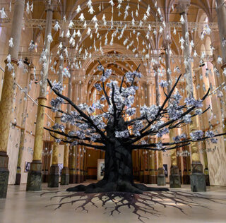 JR - Adventice, installation view, Carré Sainte-Anne, Montpellier. Photo credit: © Christophe RUIZ/Montpellier3m JR – “ADVENTICE”, Carré Sainte-Anne, Montpellier
