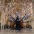 JR - Adventice, installation view, Carré Sainte-Anne, Montpellier. Photo credit: © Christophe RUIZ/Montpellier3m