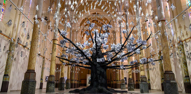 JR – “ADVENTICE”, Carré Sainte-Anne, Montpellier