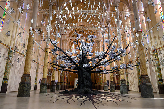 JR – “ADVENTICE”, Carré Sainte-Anne, Montpellier